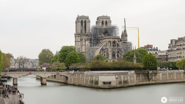 Notre-Dame de Paris photographiée le lendemain de l'incendie - Photo : © Sebastien Desnoulez