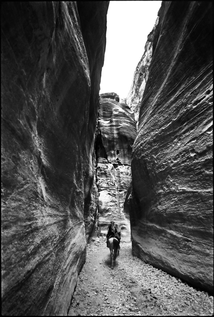 A Dos De Mulet Dans Le Siq En 1992 Photo Sebastien Desnoulez