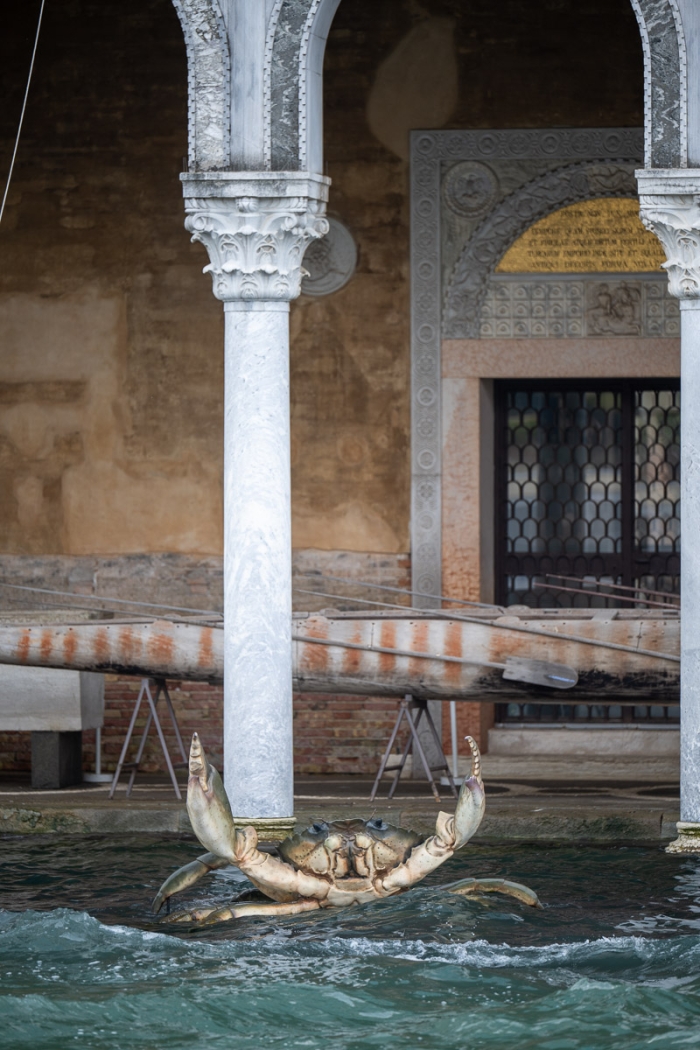 Acqua Alta Musée d'histoire naturelle, Venise - Photo : © Sebastien Desnoulez Photographe Auteur