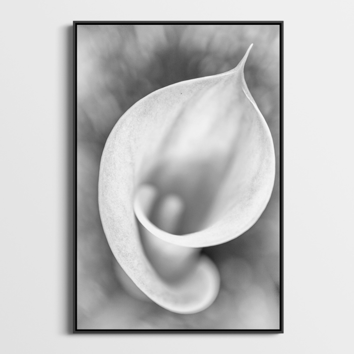 Arum Photo Sebastien Desnoulez