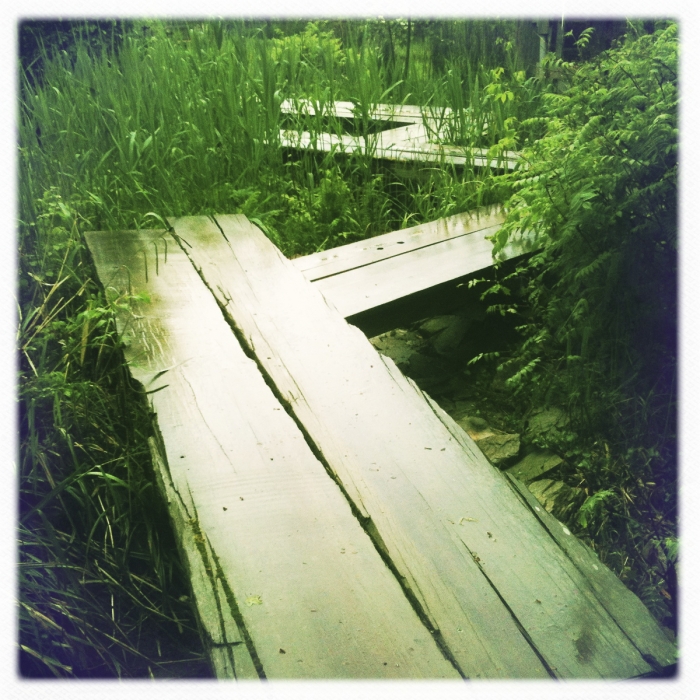 Chaumont Sur Loire 2 IPhone Photo Sebastien Desnoulez