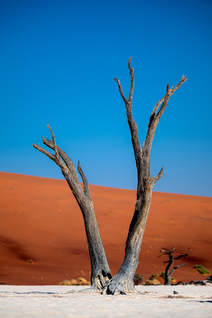 Dead Vlei, Sossusvlei, Namibie - Nikon Nikkor Z 70-200mm f/2.8 - Photo : © Sebastien Desnoulez Photographe