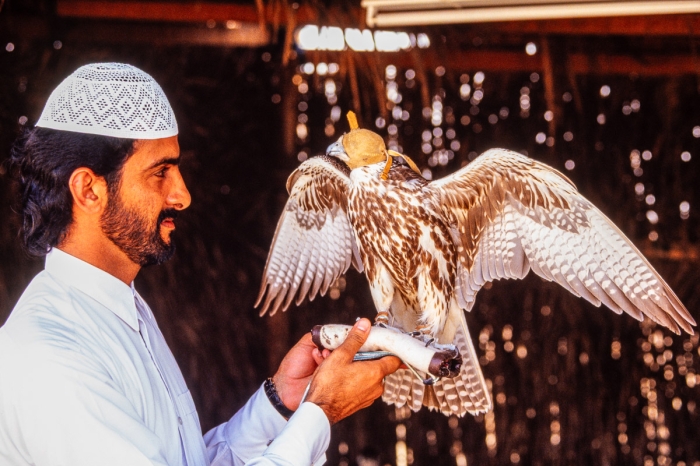 Chasse au faucon à Dubai en 1991 - Photo : © Sebastien Desnoulez