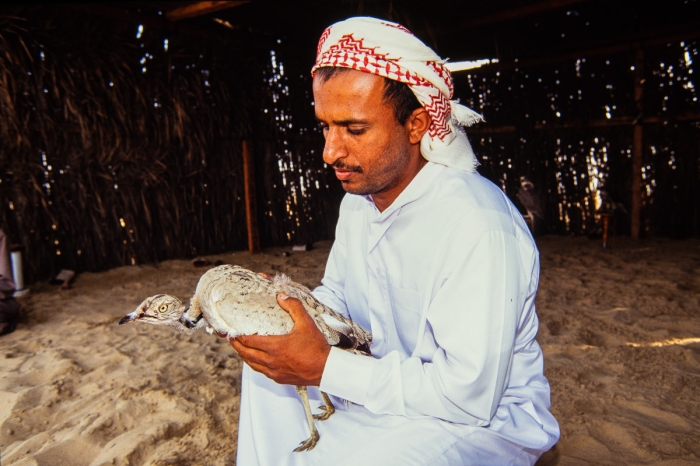 Chasse au faucon à Dubai en 1991 - outarde - Photo : © Sebastien Desnoulez