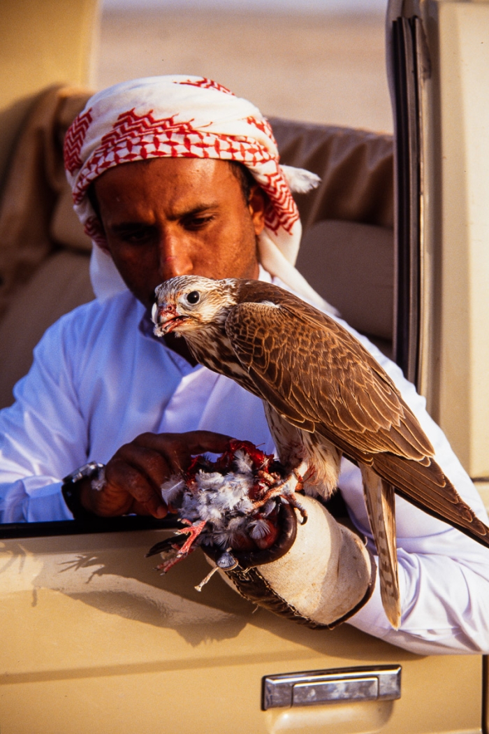 Chasse au faucon à Dubai en 1991 - Photo : © Sebastien Desnoulez