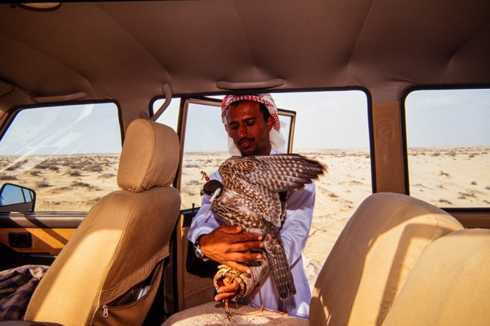 Chasse au faucon à Dubai en 1991 - Photo : © Sebastien Desnoulez