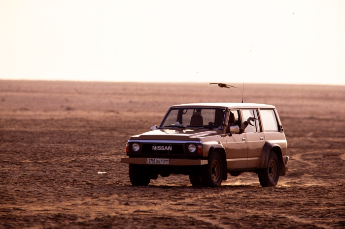 Chasse au faucon à Dubai en 1991 - Photo : © Sebastien Desnoulez