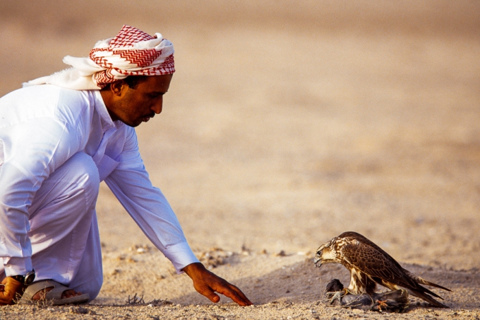 Chasse au faucon à Dubai en 1991 - Photo : © Sebastien Desnoulez