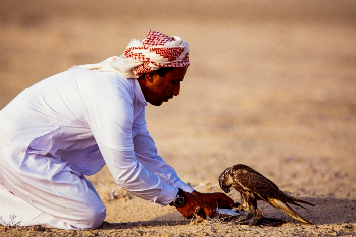 Chasse au faucon à Dubai en 1991 - Photo : © Sebastien Desnoulez