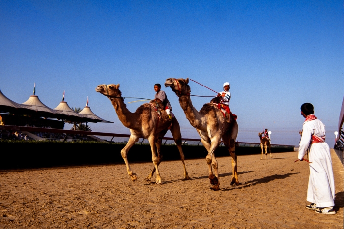 Dubai 1991 - Courses de dromadaires - Photo : © Sebastien Desnoulez