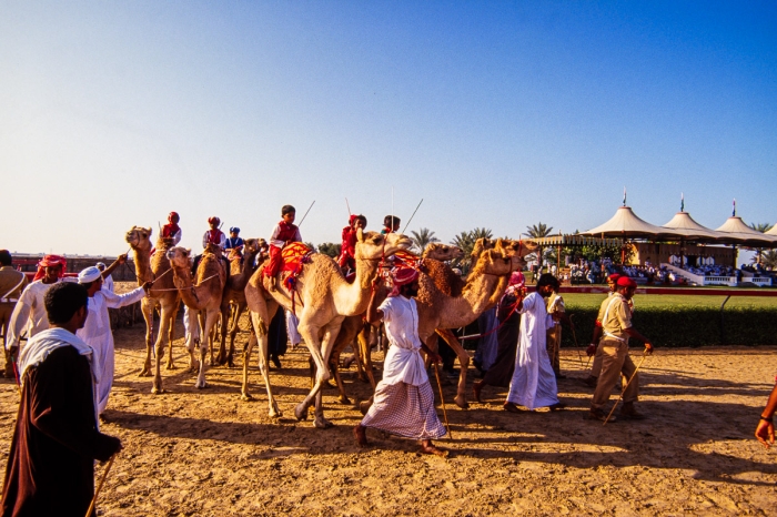Dubai 1991   Courses De Dromadaires   Photo : © Sebastien Desnoulez