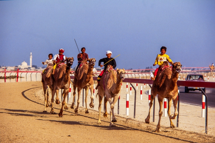 Dubai 1991 - Courses de dromadaires - Photo : © Sebastien Desnoulez