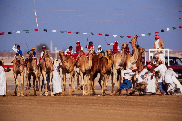 Dubai 1991 - Courses de dromadaires, départ - Photo : © Sebastien Desnoulez