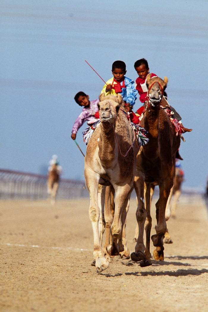 Dubai 1991 - Courses de dromadaires - Photo : © Sebastien Desnoulez