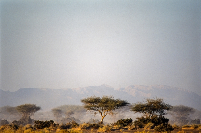 Dubai 1991 - D&sert - Photo : © Sebastien Desnoulez