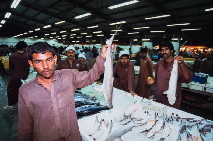 Dubai 1991 - Marché au poisson / Fish market - Photo : © Sebastien Desnoulez