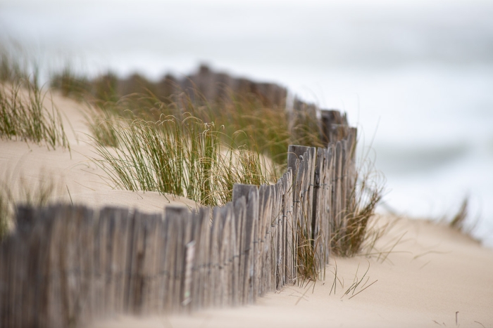 Dune Nikon 500mm F4 Ai P Photo Sebastien Desnoulez