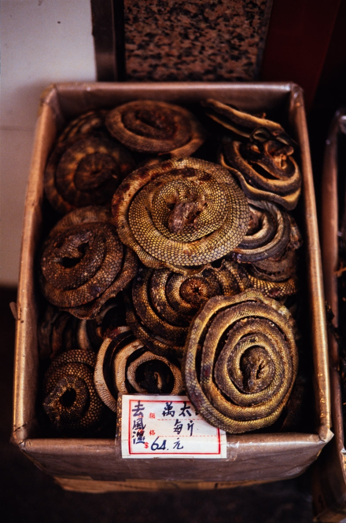 Serpents séchés, Hong Kong island, Mars 1993 - Photo : © Sebastien Desnoulez