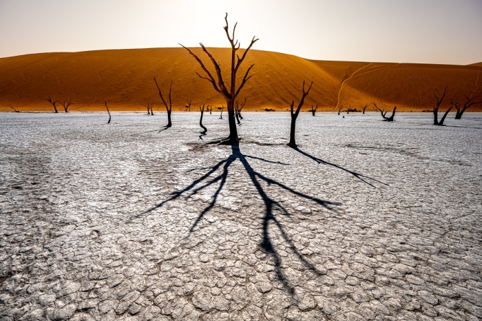 Les Ombres De Deadvlei Sossusvlei Namibie Photo Sebastien Desnoulez