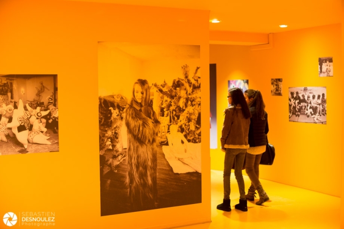 Exposition Niki de Saint Phalle au Grand Palais - Paris - Photo : © Sebastien Desnoulez