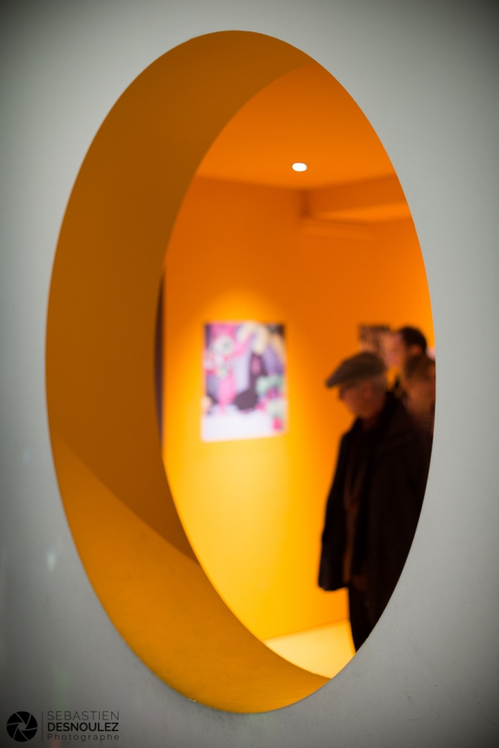 Exposition Niki de Saint Phalle au Grand Palais - Paris - Photo : © Sebastien Desnoulez