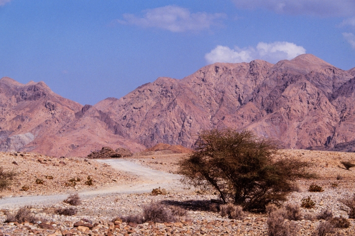 Sultanat d'Oman 1991 - Désert - Photo : © Sebastien Desnoulez