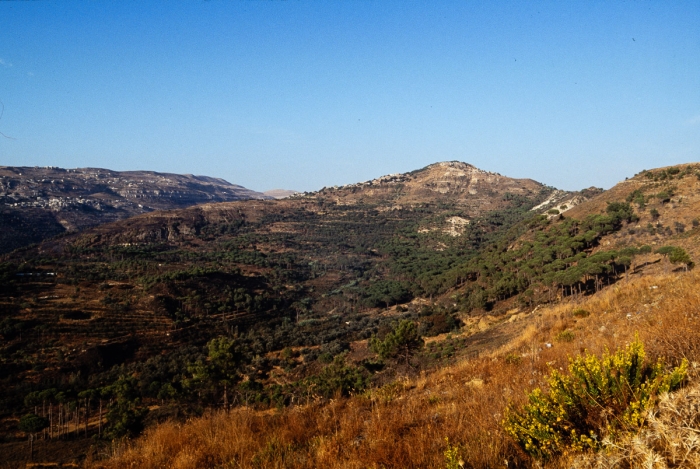 Paysage Du Mont Liban 1991   Photo : © Sebastien Desnoulez