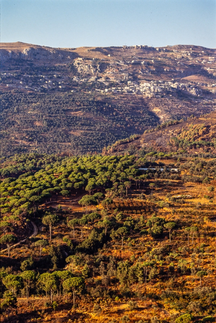 Paysage Du Mont Liban 1991   Photo : © Sebastien Desnoulez
