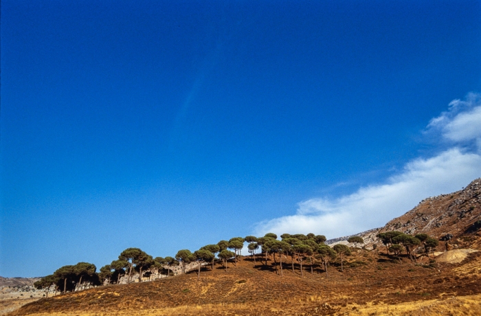 Paysage Du Mont Liban 1991   Photo : © Sebastien Desnoulez