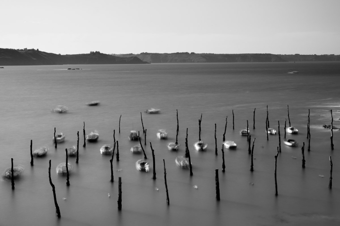 Port de Gwin Zegal, 2018, Côtes d'Armor - Photo : © Sebastien Desnoulez