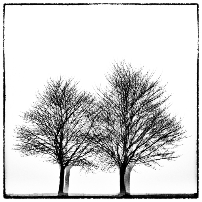 Three Times Two Trees Serie Glitches Photo Sebastien Desnoulez
