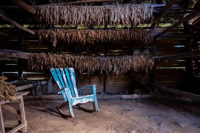 Séchoir à tabac, Région de Vinales, Cuba - Photo : © Sebastien Desnoulez Photographe Auteur