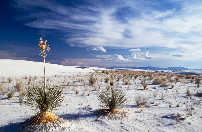 White Sands, Nouveau-Mexique - Dunes de sable blanc 1993 - Photo : © Sebastien Desnoulez