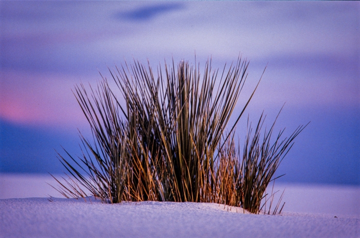 White Sands, Nouveau-Mexique - Dunes de sable blanc 1993 - Photo : © Sebastien Desnoulez