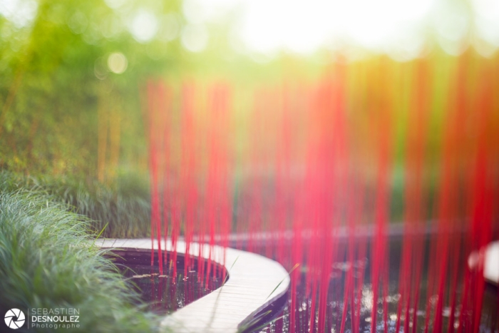 Ambiance Installation Paysage   Festival Des Jardins   Château De Chaumont Sur Loire   Photo Sebastien Desnoulez