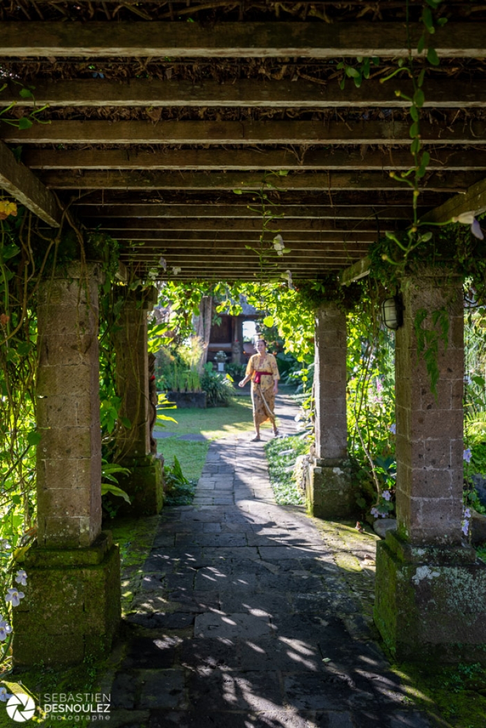 Around Ubud, Bali - Photo : © Sebastien Desnoulez Photographe Auteur