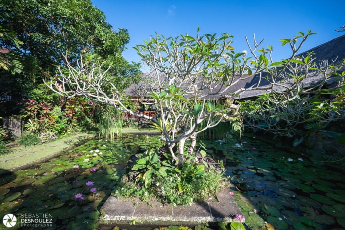 Around Ubud, Bali - Photo : © Sebastien Desnoulez Photographe Auteur