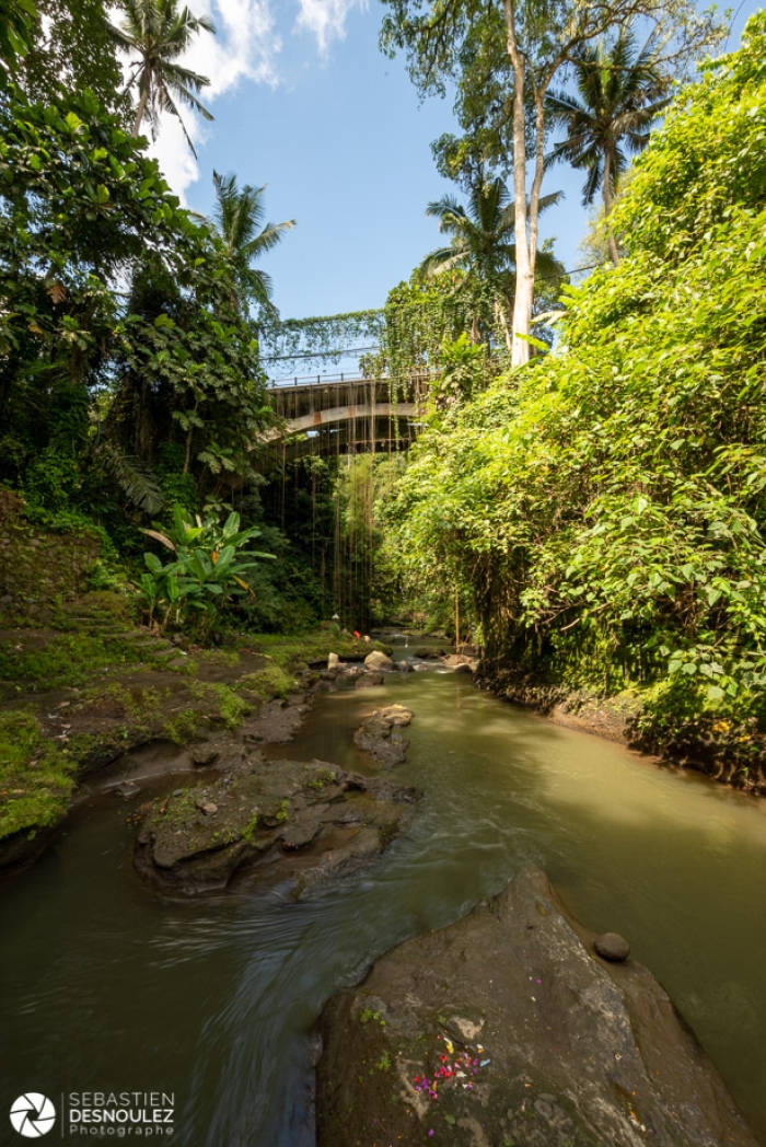 Around Ubud, Bali - Photo : © Sebastien Desnoulez Photographe Auteur