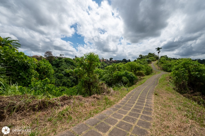 Campuhan ridge walk, Ubud, Bali - Photo : © Sebastien Desnoulez Photographe Auteur