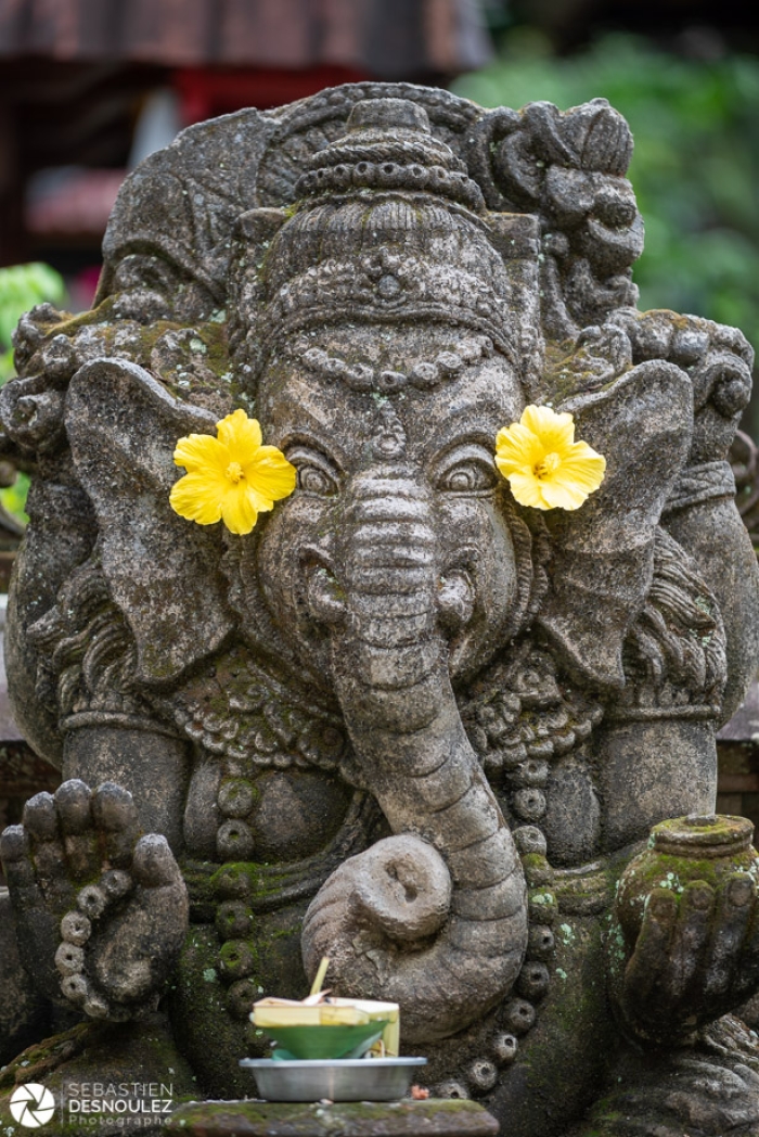 Around Ubud, Bali - Photo : © Sebastien Desnoulez Photographe Auteur