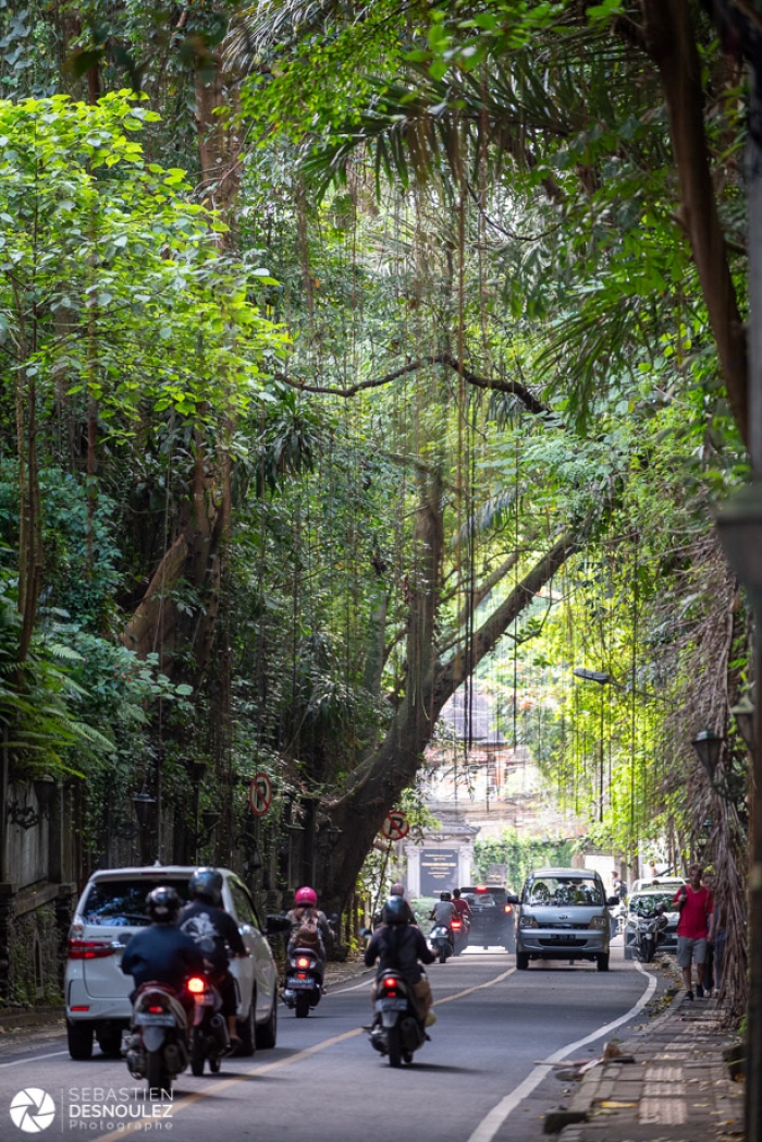 Around Ubud, Bali - Photo : © Sebastien Desnoulez Photographe Auteur
