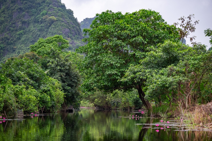 Baie d'Ha Long terrestre à Hoa Lu au Vietnam - Photo : © Sebastien Desnoulez Photographe Auteur