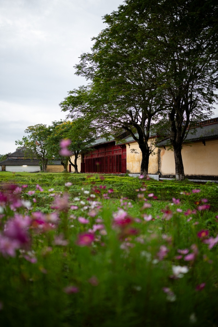 Cité Impériale à Hué au Vietnam - Photo : © Sebastien Desnoulez Photographe Auteur