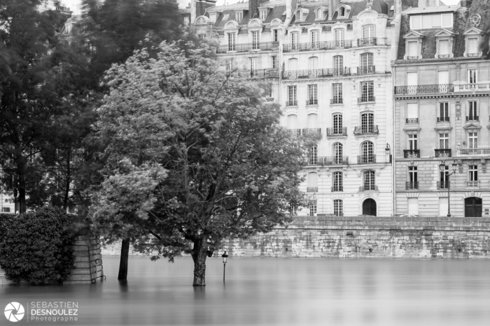 Crue de la Seine à Paris, juin 2016 - Photo : © Sebastien Desnoulez