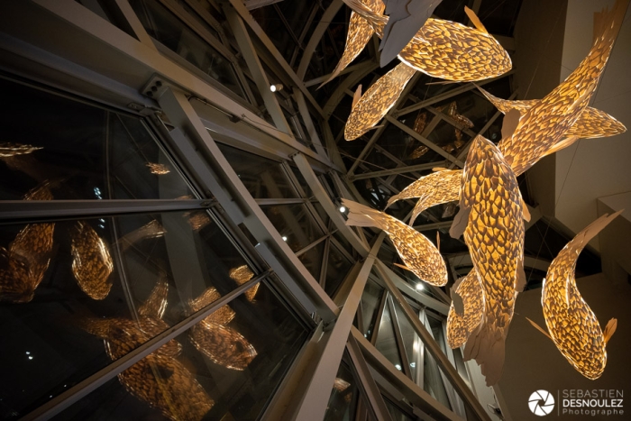Dans l'aquarium de Frank Gehry, Fondation Louis Vuitton Paris - Photo : © Sebastien Desnoulez photographe d'ambiances et d'architecture