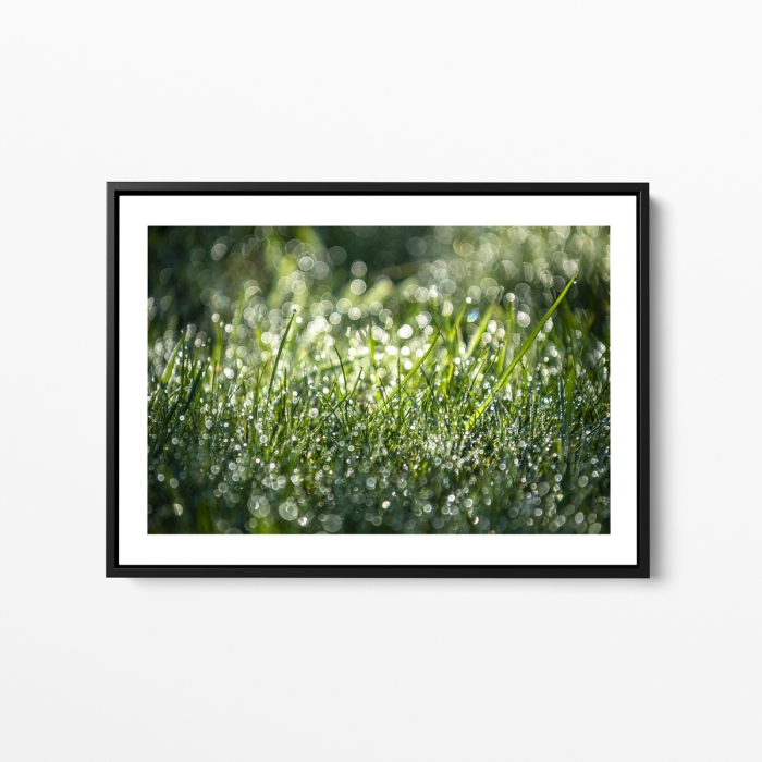 Grass and dew - Framed print - Photo : © Sebastien Desnoulez photographe auteur