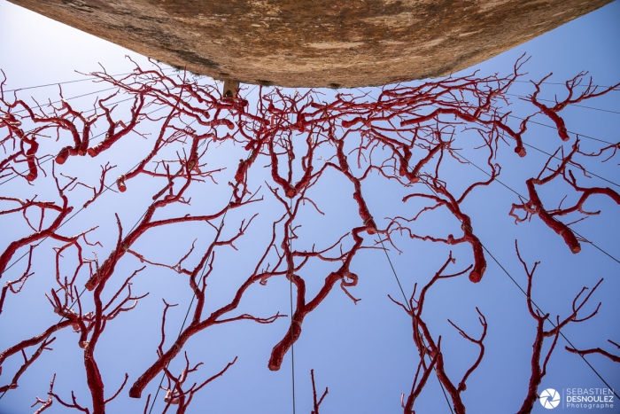 Installation corail rouge Alghero Sardaigne - Photo : © Sebastien Desnoulez photographe d'ambiances et de paysage