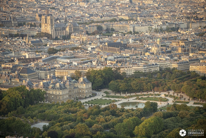 Jardin du Luxembourg et Notre Dame de Paris - Photo : © Sebastien Desnoulez photographe d'ambiances et d'architecture