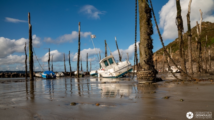 La Forêt Engloutie - Port de Gwin Zegal - Lumières de Bretagne - Photo : © Sebastien Desnoulez photographe d'ambiances et de paysage