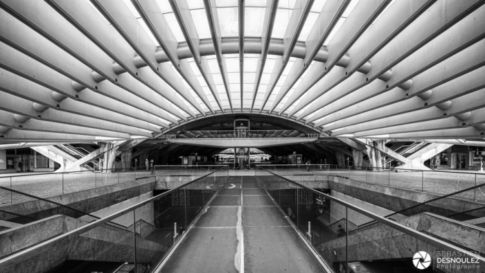 Gare De Calatrava, Lisbonne - Photo : © Sebastien Desnoulez Photographe Auteur